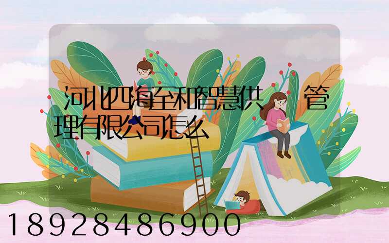 河北四海至和智慧供應鏈管理有限公司怎么樣