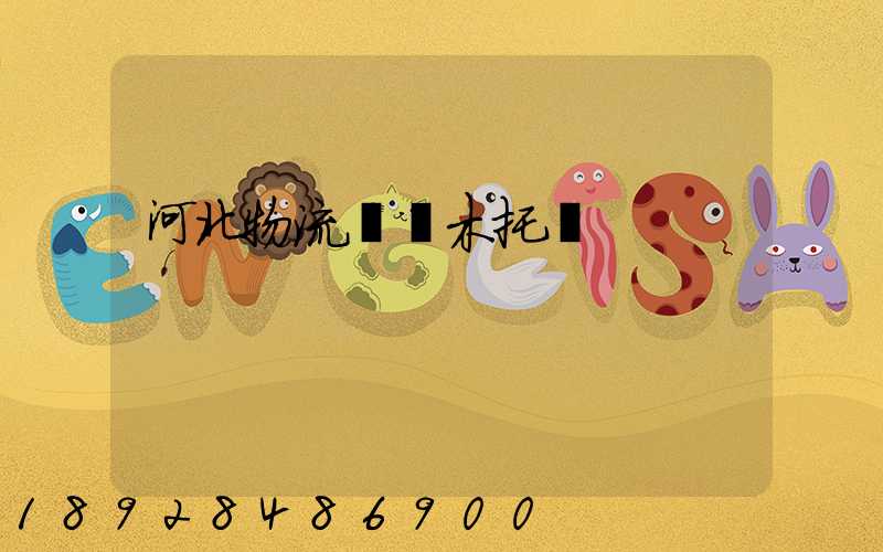 河北物流運輸木托盤