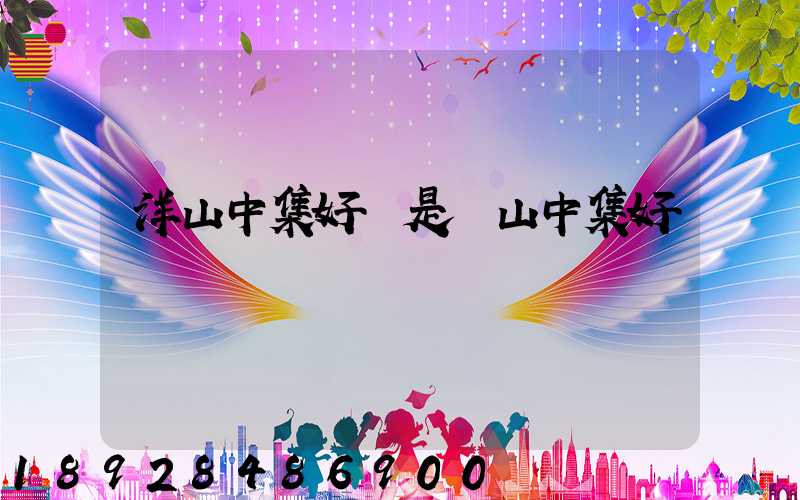 洋山中集好還是寶山中集好