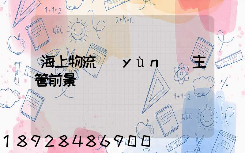 海上物流運(yùn)輸主管前景