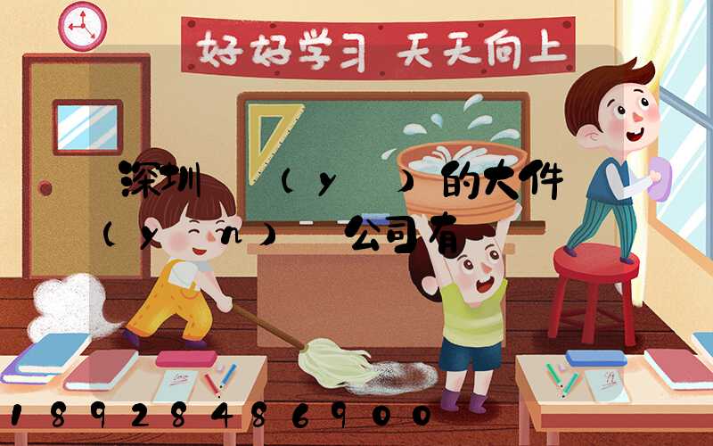 深圳專業(yè)的大件運(yùn)輸公司有嗎