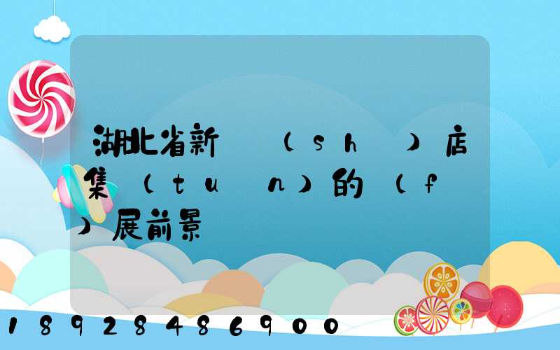 湖北省新華書(shū)店集團(tuán)的發(fā)展前景