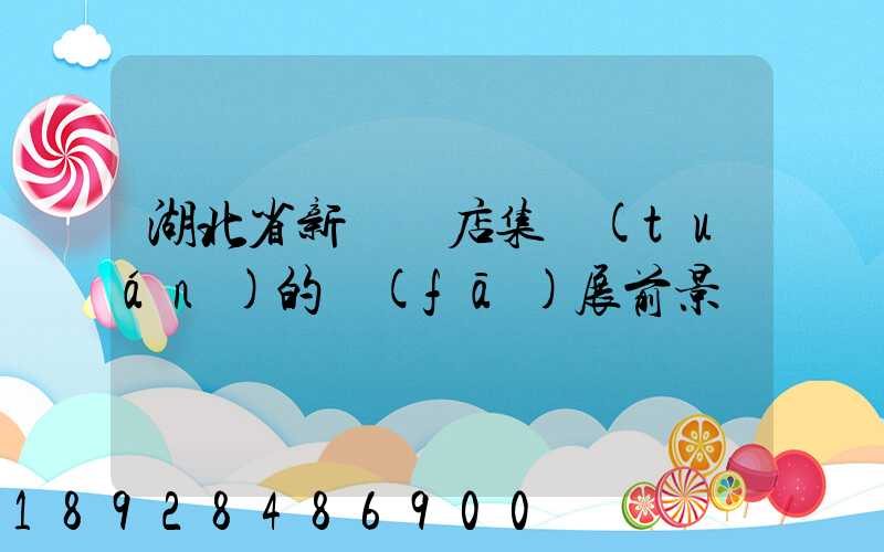 湖北省新華書店集團(tuán)的發(fā)展前景