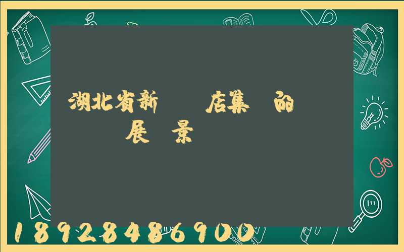 湖北省新華書店集團的發(fā)展前景