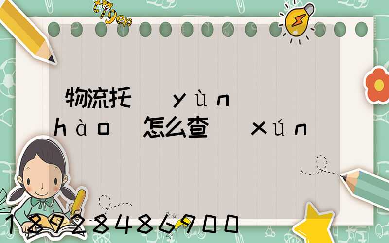 物流托運(yùn)單號(hào)怎么查詢(xún)