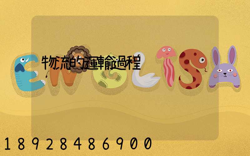 物流的運輸過程