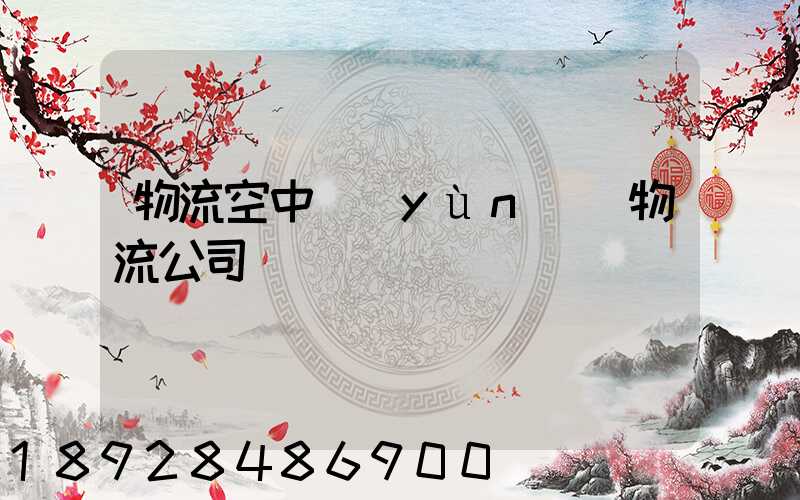物流空中運(yùn)輸物流公司