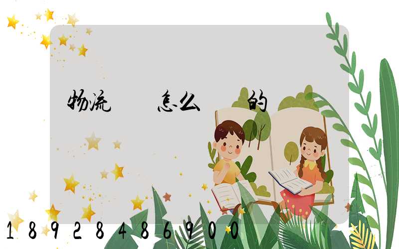 物流設備怎么運輸的