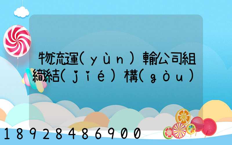 物流運(yùn)輸公司組織結(jié)構(gòu)