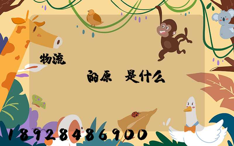 物流運(yùn)輸規(guī)劃的原則是什么