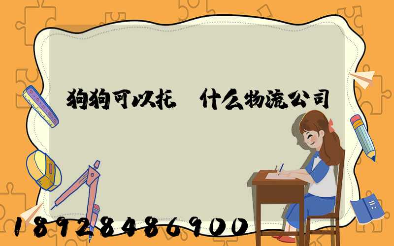 狗狗可以托運什么物流公司