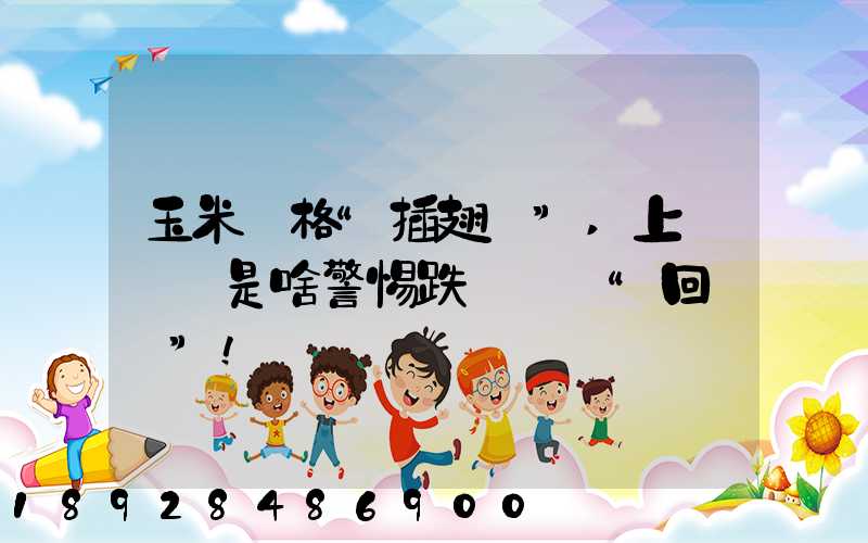 玉米價格“插翅漲”,上漲邏輯是啥警惕跌勢殺個“回馬槍”!