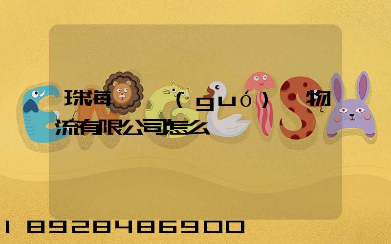 珠海眾樂國(guó)際物流有限公司怎么樣