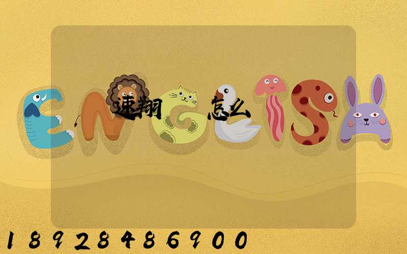 紹興速翔車隊怎么樣