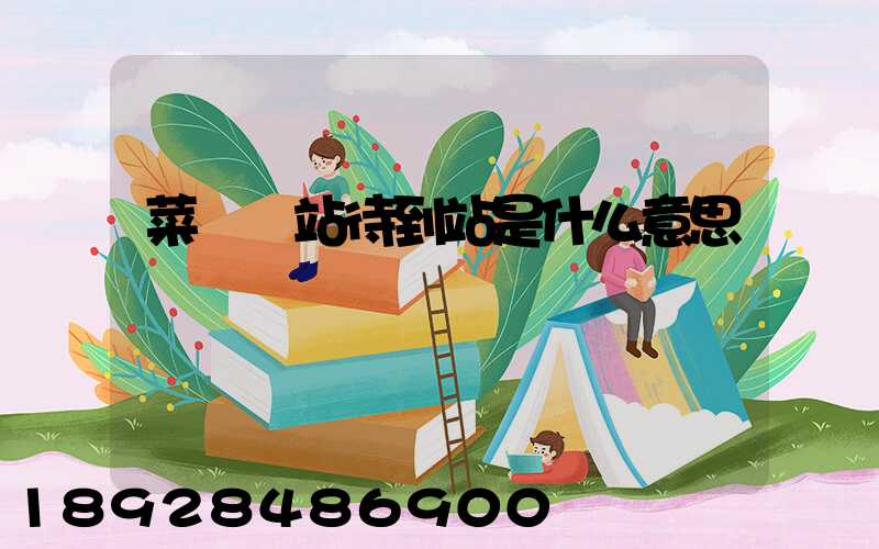 菜鳥驛站待到站是什么意思