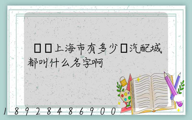 請問上海市有多少個汽配城都叫什么名字啊