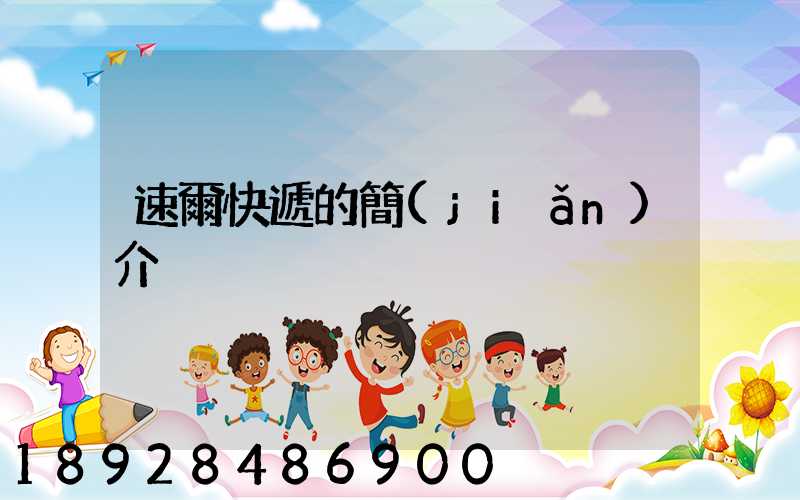 速爾快遞的簡(jiǎn)介