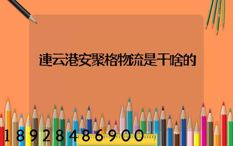 連云港安聚格物流是干啥的