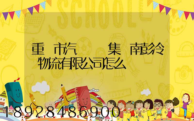 重慶市汽車運輸集團南彭冷鏈物流有限公司怎么樣
