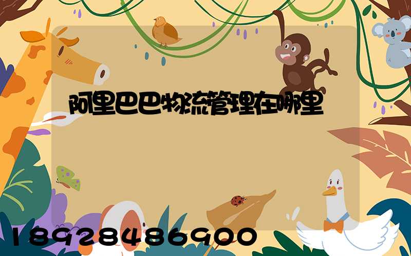 阿里巴巴物流管理在哪里