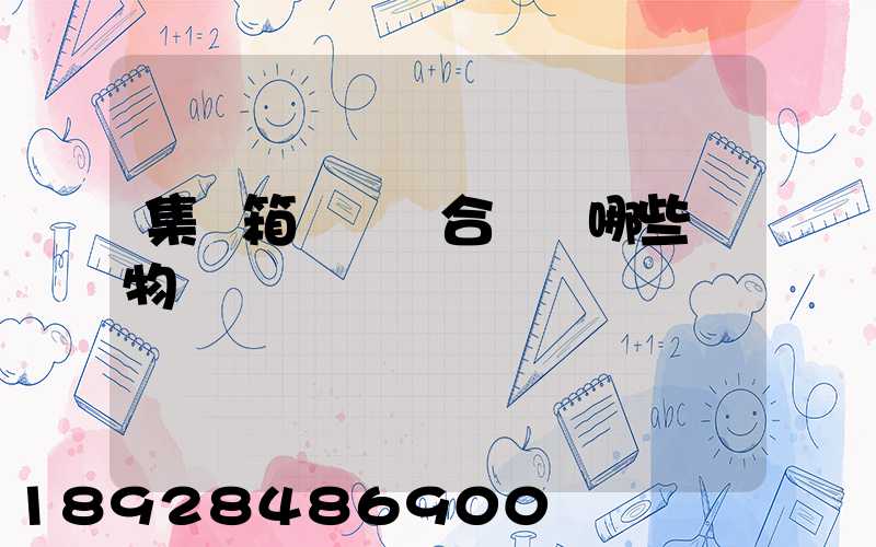 集裝箱運輸適合運輸哪些貨物