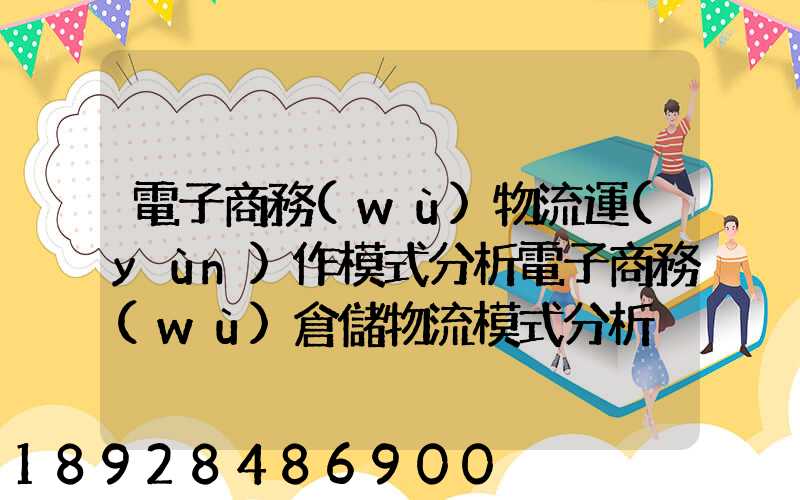 電子商務(wù)物流運(yùn)作模式分析電子商務(wù)倉儲物流模式分析