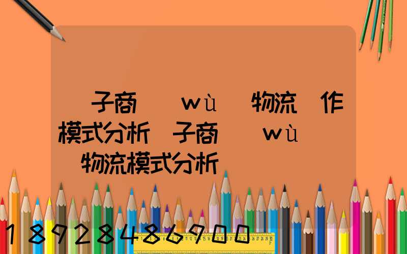 電子商務(wù)物流運作模式分析電子商務(wù)倉儲物流模式分析