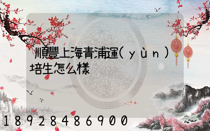順豐上海青浦運(yùn)培生怎么樣