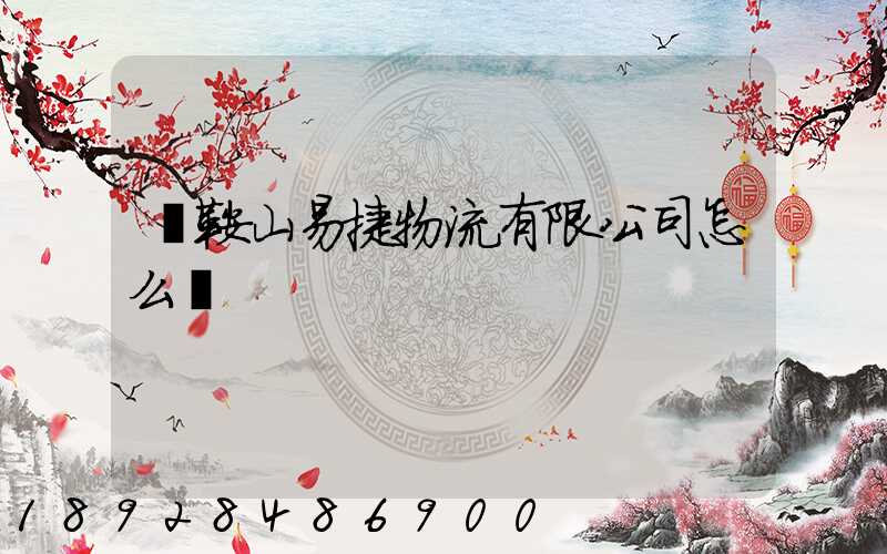 馬鞍山易捷物流有限公司怎么樣